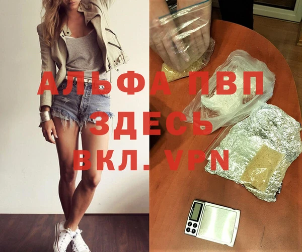 спайс Арсеньев