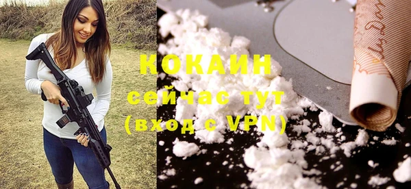 спайс Арсеньев
