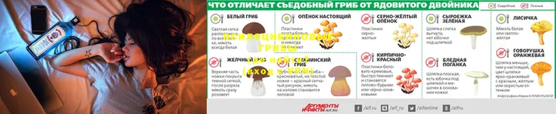 Галлюциногенные грибы GOLDEN TEACHER  Белинский 